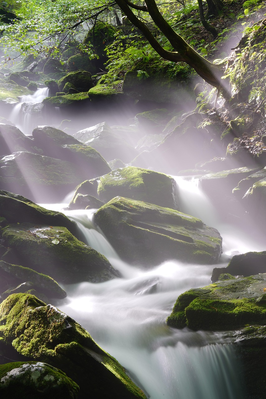 waterfall, brook, river, forest, trees, jungle, nature, moss, rocks, waterfall, waterfall, waterfall, waterfall, waterfall, jungle, jungle, jungle